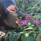 Kiss the Admiral 