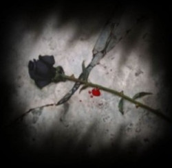 Member Image