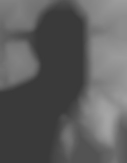 Member Image