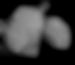 Member Image