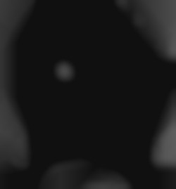 Member Image