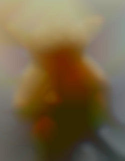 Member Image