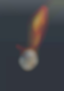 Member Image