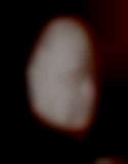 Member Image