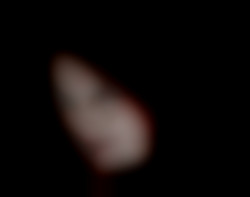 Member Image