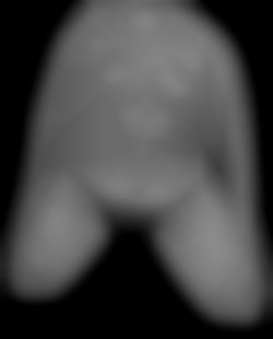 Member Image