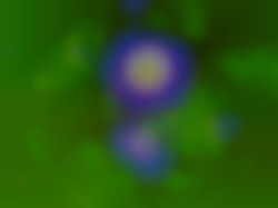 Member Image
