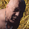 AO Zuchtbulle