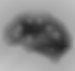 Member Image