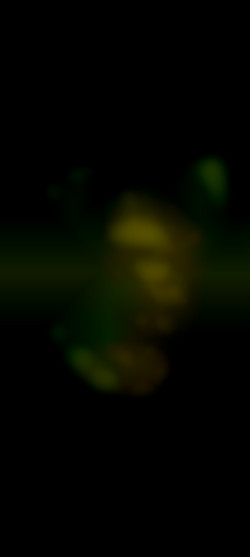 Member Image