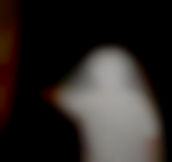 Member Image