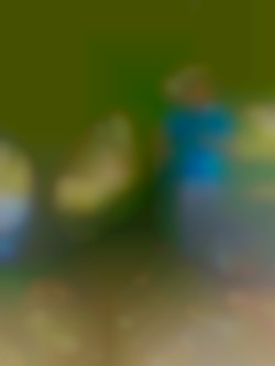 Member Image