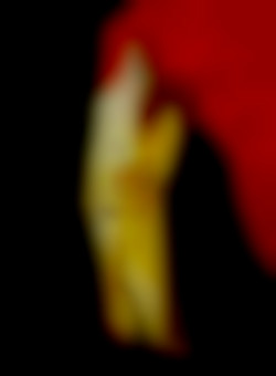 Member Image