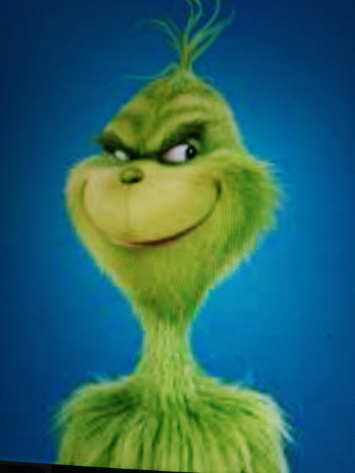 Member Image