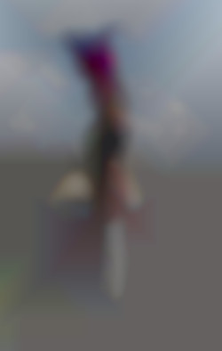 Member Image