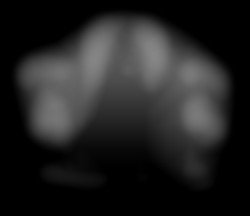 Member Image