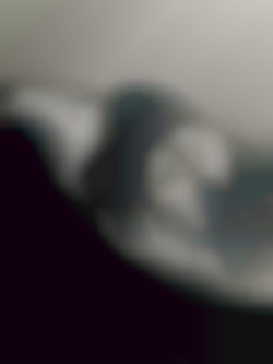 Member Image
