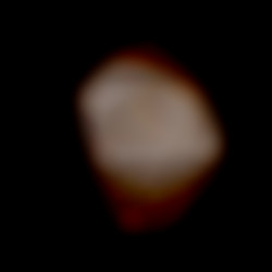Member Image