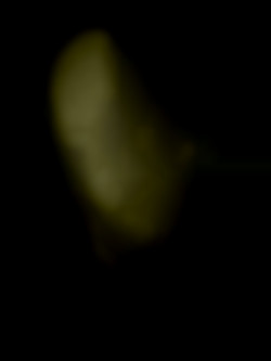 Member Image
