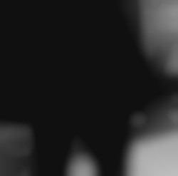 Member Image