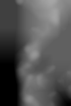 Member Image
