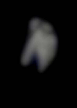 Member Image