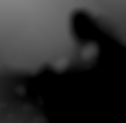 Member Image