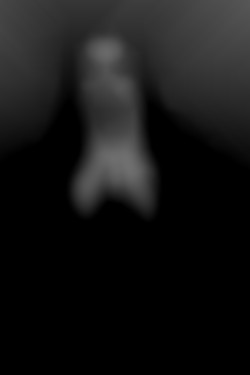 Member Image
