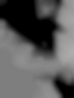 Member Image